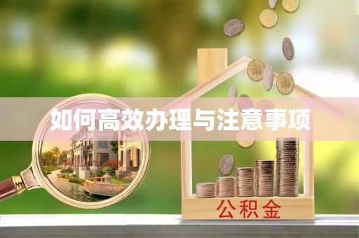 秦州如何高效办理与注意事项