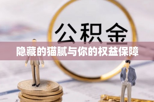 秦州隐藏的猫腻与你的权益保障