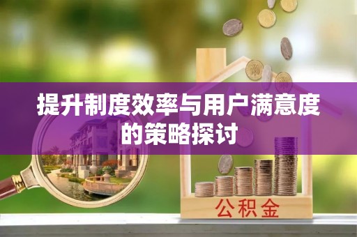 秦州提升制度效率与用户满意度的策略探讨