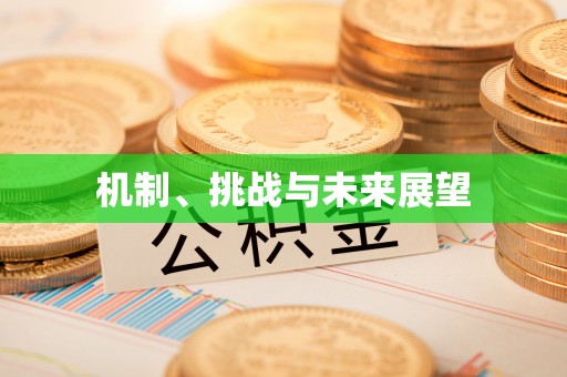 秦州机制、挑战与未来展望